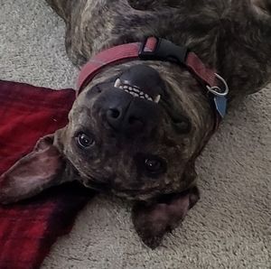 Meet your Posher, Teresa